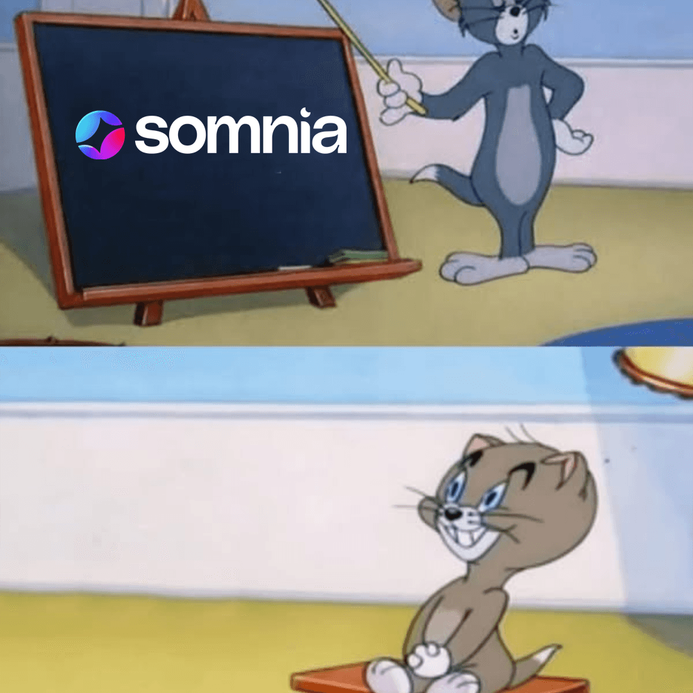 Tom & Jerry With Somnia